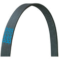 CarQuest 5050530 Poly Rib Serpentine Belt - 5-Rib, 53.0 in