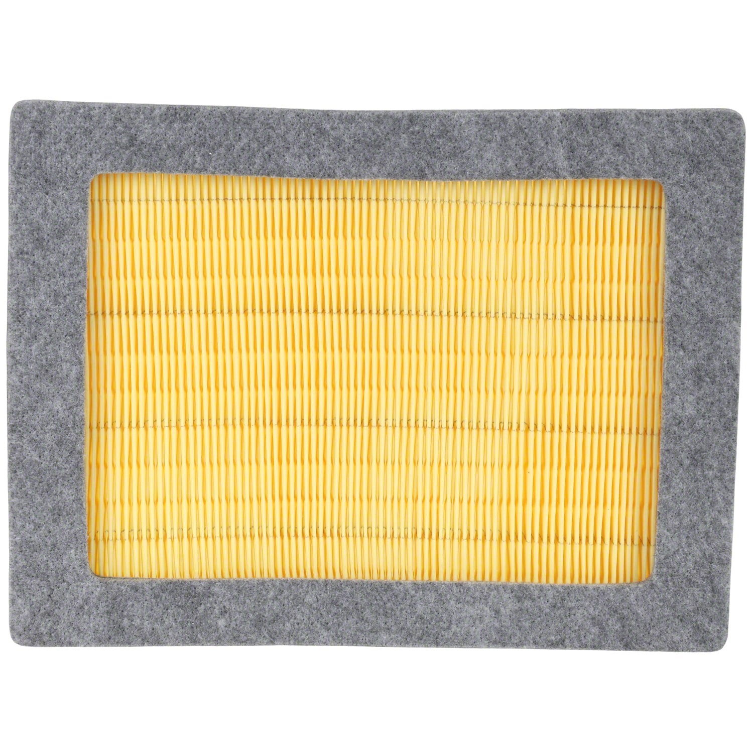 Engine Air Filter Element - 5.4L - FA1754