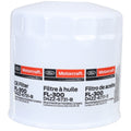 Engine Oil Filter Kit Element and Gasket - FL300