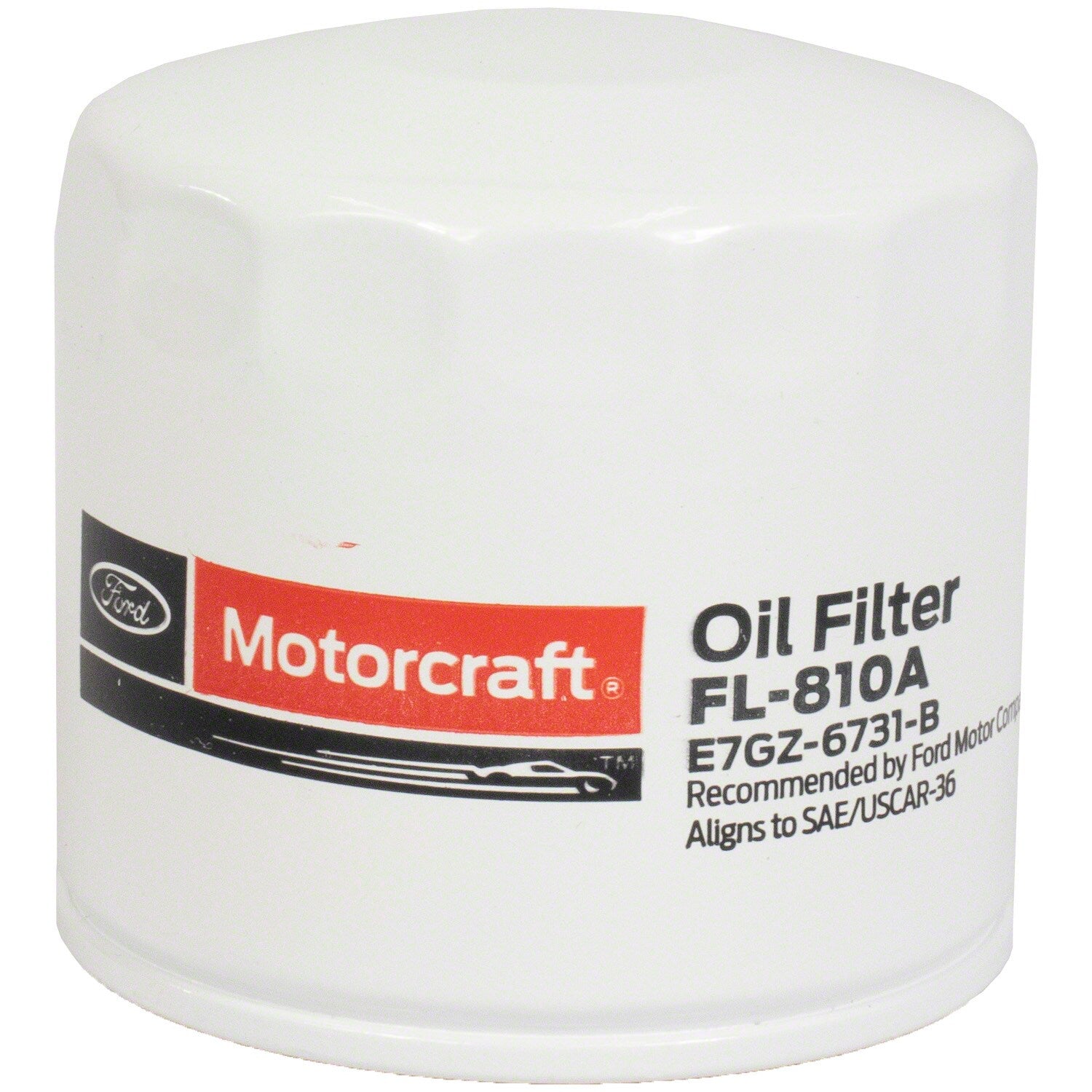 Engine Oil Filter Kit Element and Gasket - FL810A