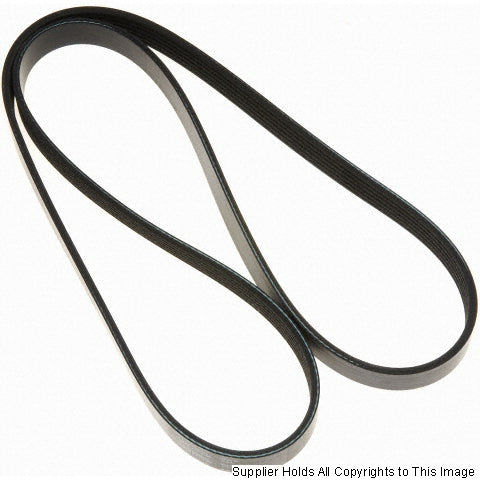CarQuest K060819 Micro-V Serpentine Belt - 6-Rib, 81.9 in