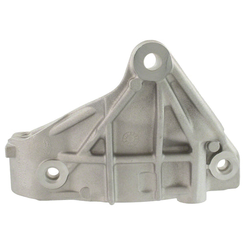Alternator Bracket - 3.3L - L1MZ10A313HB
