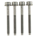 Engine Oil Filter Adapter Bolt - 5.2L - W718237S442