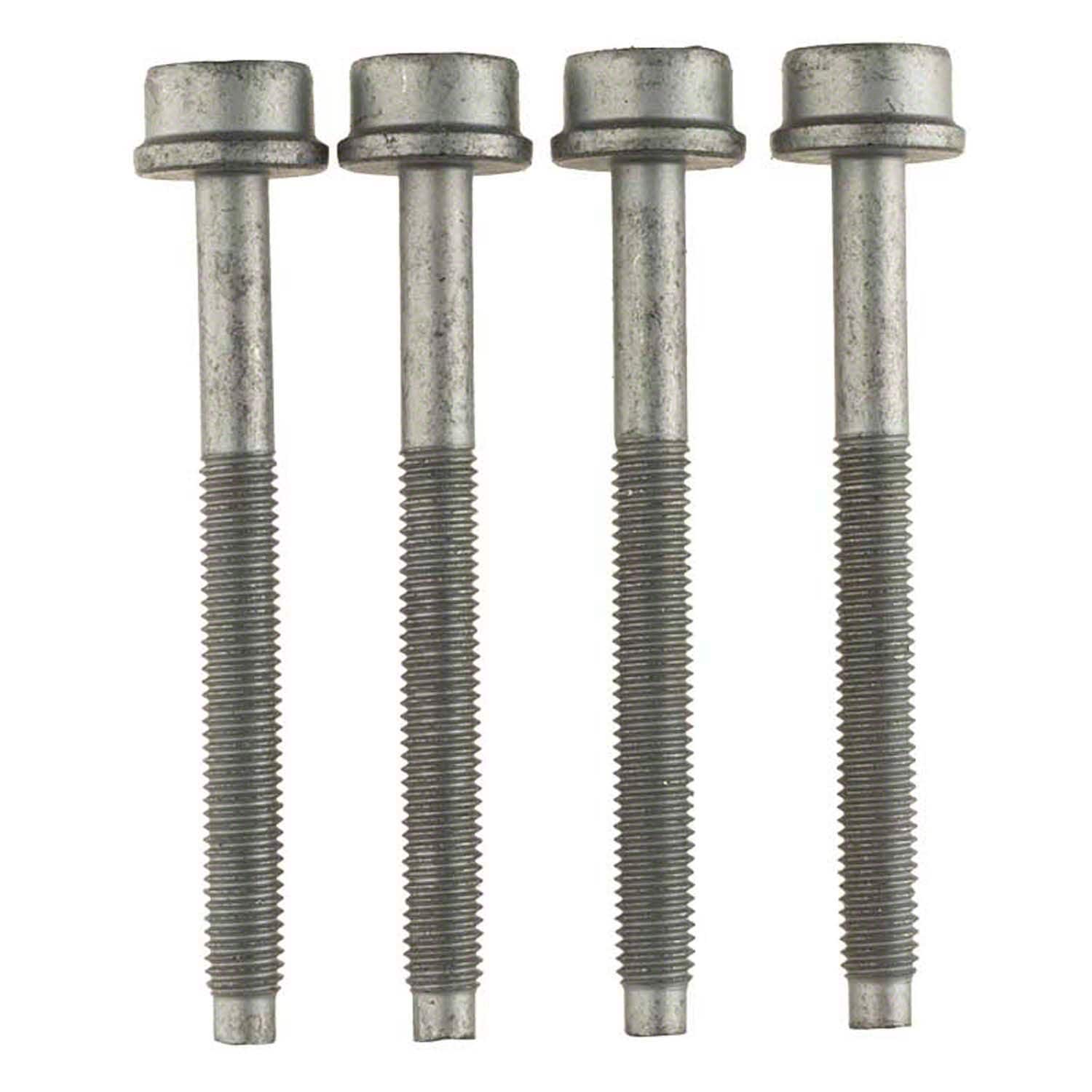 Engine Oil Filter Adapter Bolt - 5.2L - W718237S442