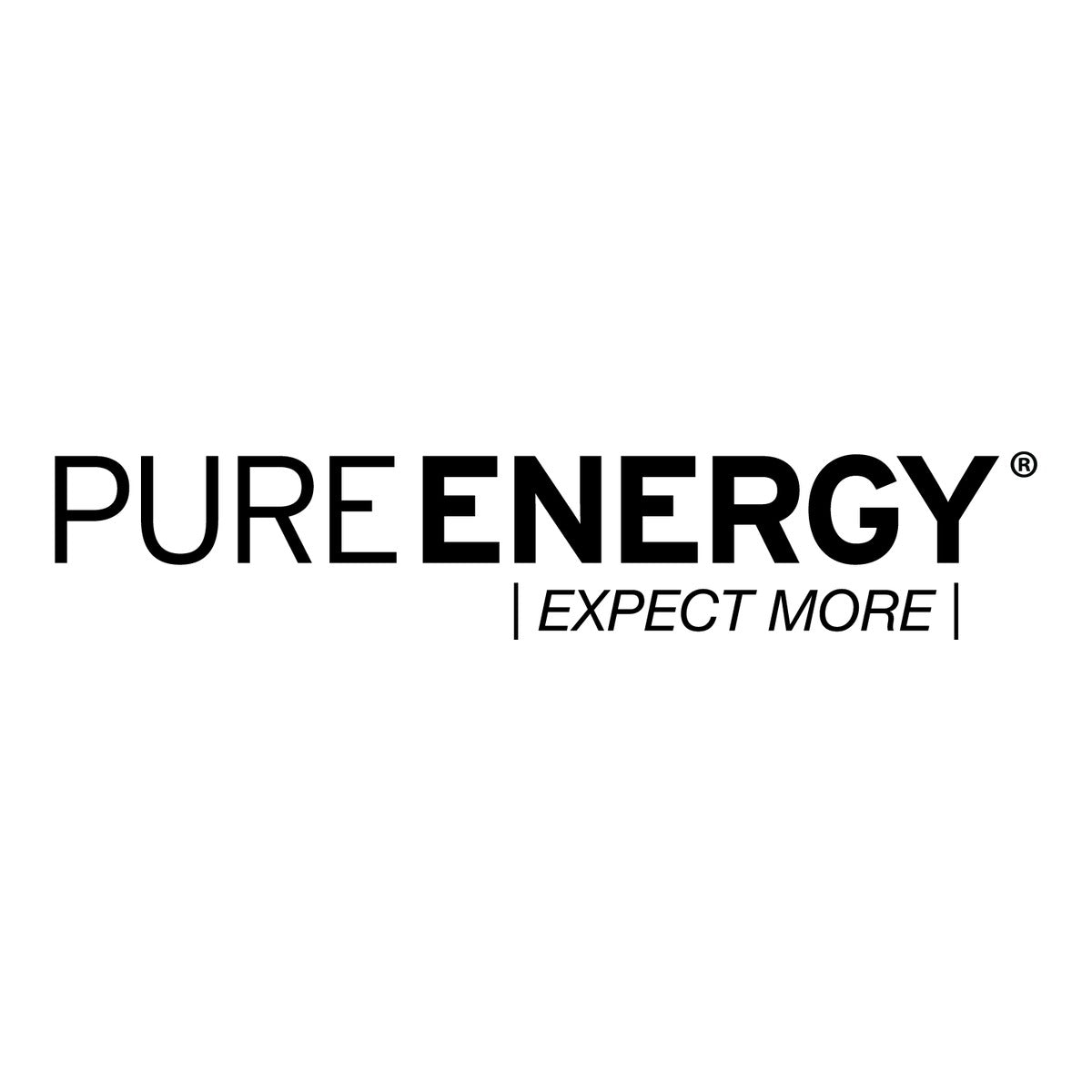 Pure Energy 8305610 Alternator