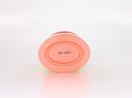 WIX WA9566 Air Filter